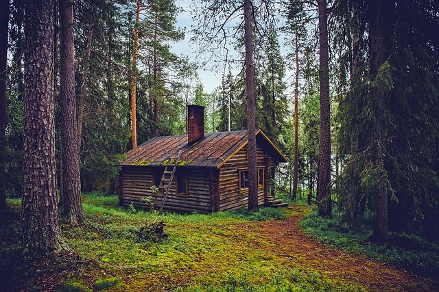 Alte Hütte